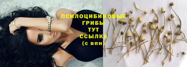 соль курить ск Медвежьегорск
