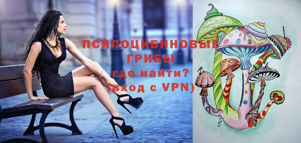 ALPHA PVP Медногорск