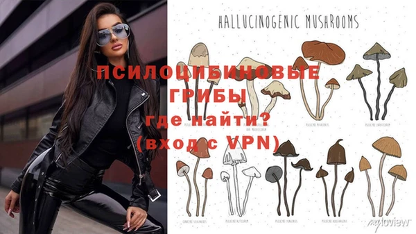 соль курить ск Медвежьегорск