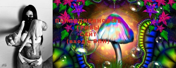 соль курить ск Медвежьегорск
