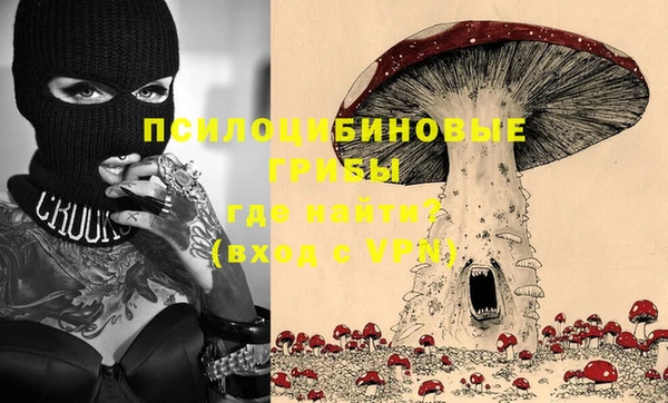 ПСИЛОЦИБИНОВЫЕ ГРИБЫ Мегион