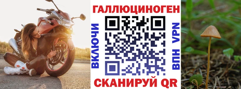 Псилоцибиновые грибы прущие грибы  Купить закладки  Сарапул 